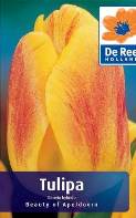 Beauty of Apeldoorn