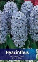 Delft Blue